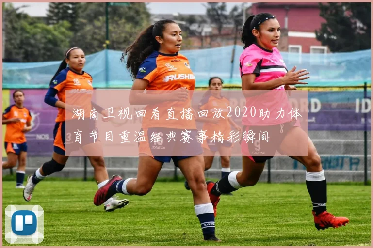 湖南卫视回看直播回放2020助力体育节目重温经典赛事精彩瞬间