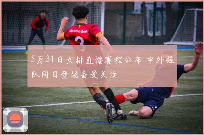 5月31日女排直播赛程公布 中外强队同日登场备受关注