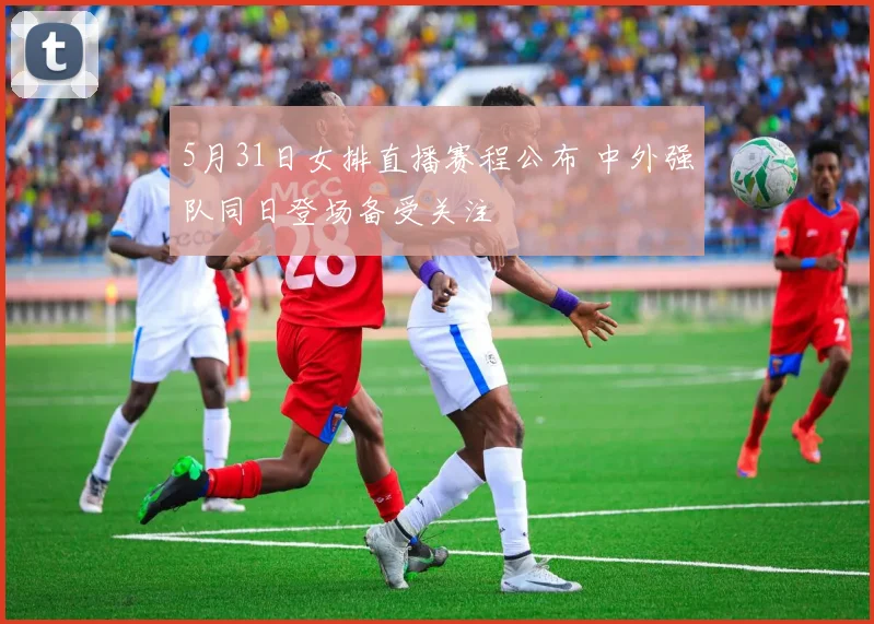 5月31日女排直播赛程公布 中外强队同日登场备受关注