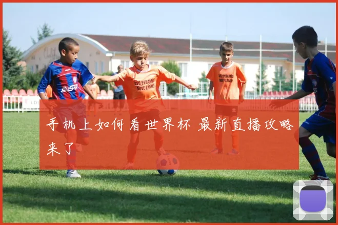 手机上如何看世界杯 最新直播攻略来了