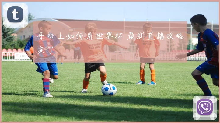 手机上如何看世界杯 最新直播攻略来了